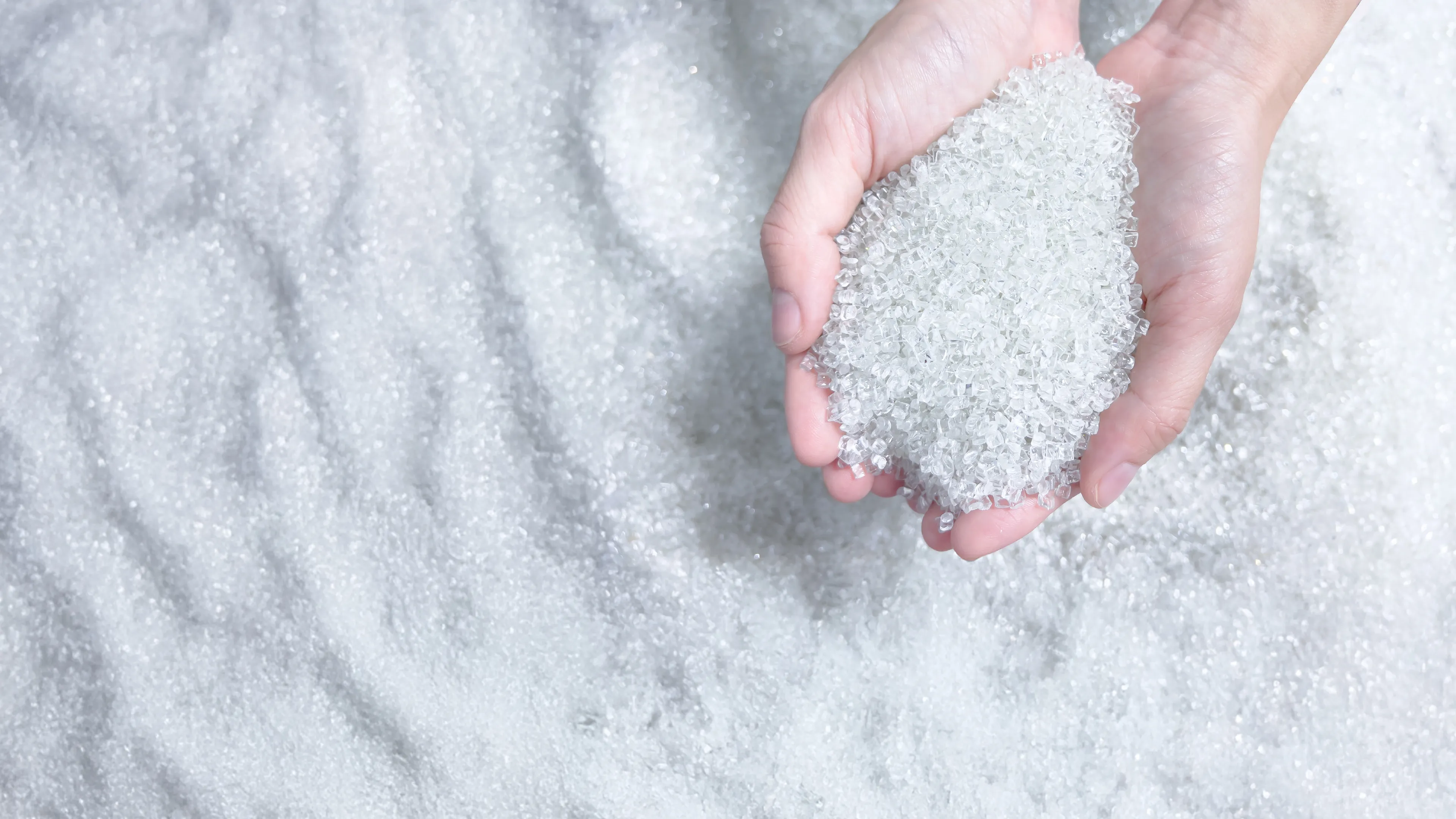 ウェブサイトをリニューアルしました